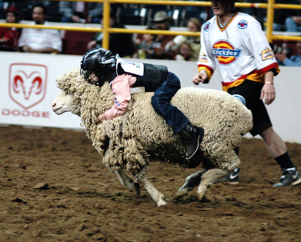 MUTTON BUSTIN'