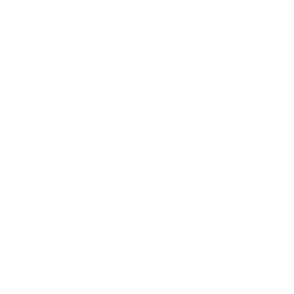Burns 1876